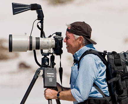 Photographing penguins in the Falkland Islands